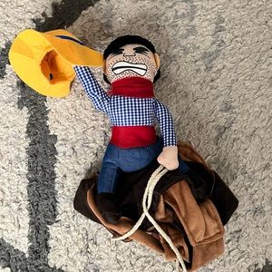 Cowboy pet costume